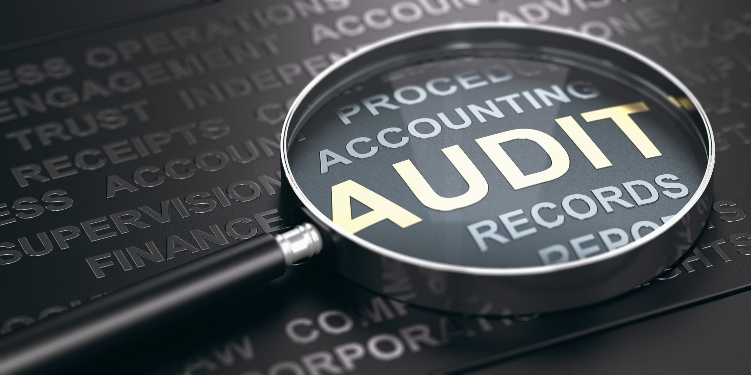 auditing databases
